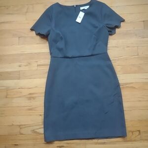 Ann Taylor LOFT Scalloped Wrap Dress Gray Size 2 NEW